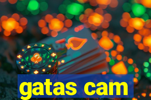 gatas cam